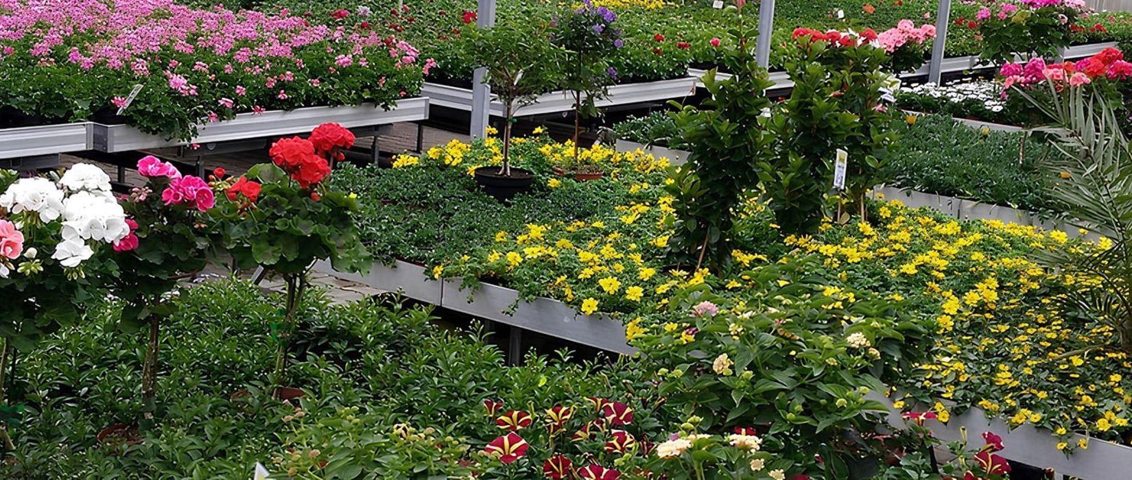 Ein blühender Garten mit einer Vielzahl von verschiedenen Blumenarten in lebendigen Farben